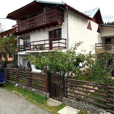 Vila Nik Busteni Buşteni Exterior foto