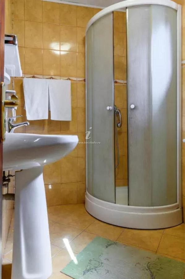 Vila Nik Busteni Buşteni Exterior foto