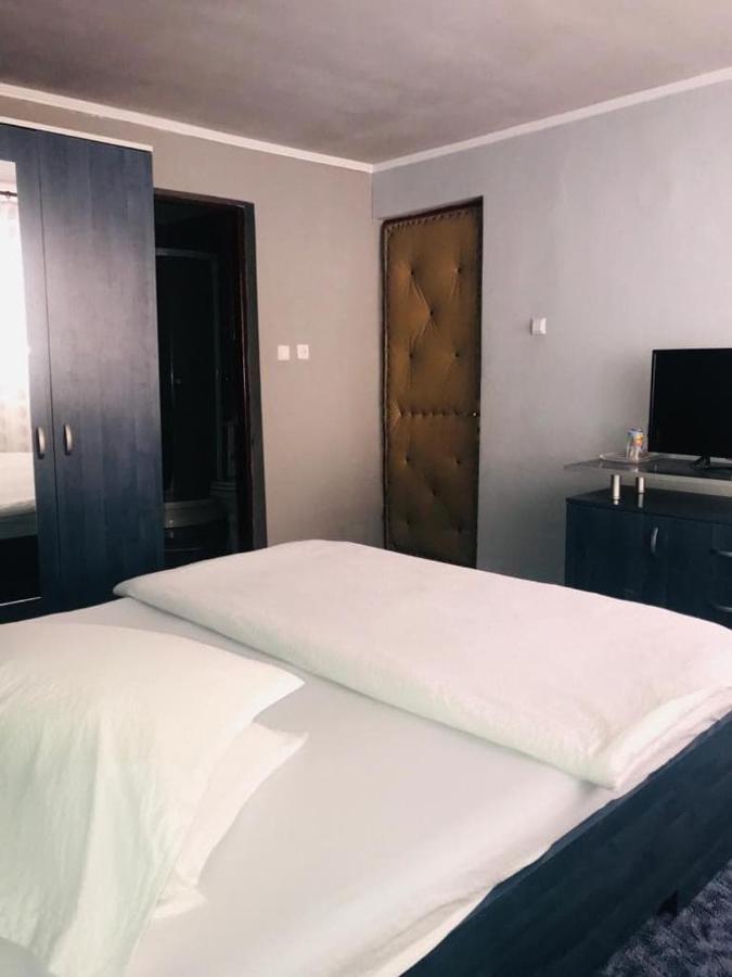 Vila Nik Busteni Buşteni Exterior foto