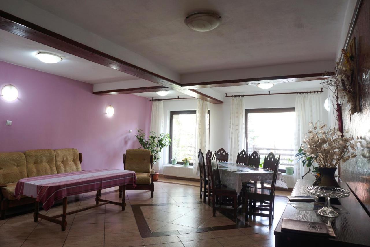 Vila Nik Busteni Buşteni Exterior foto