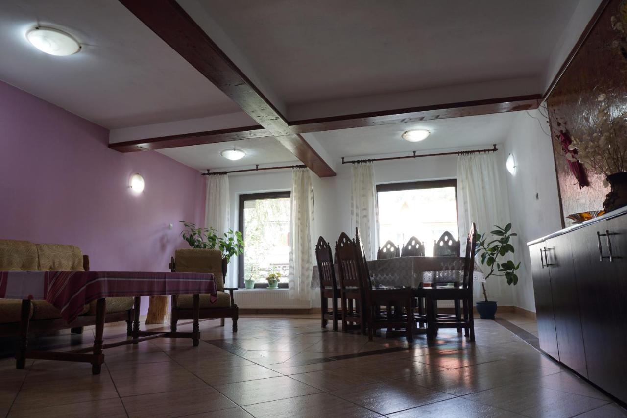 Vila Nik Busteni Buşteni Exterior foto