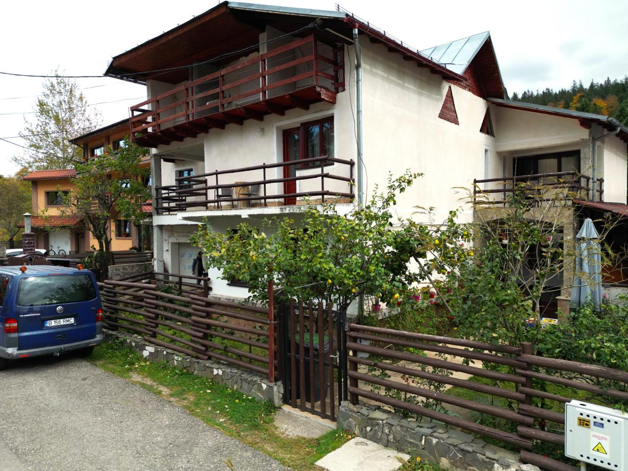 Vila Nik Busteni Buşteni Exterior foto