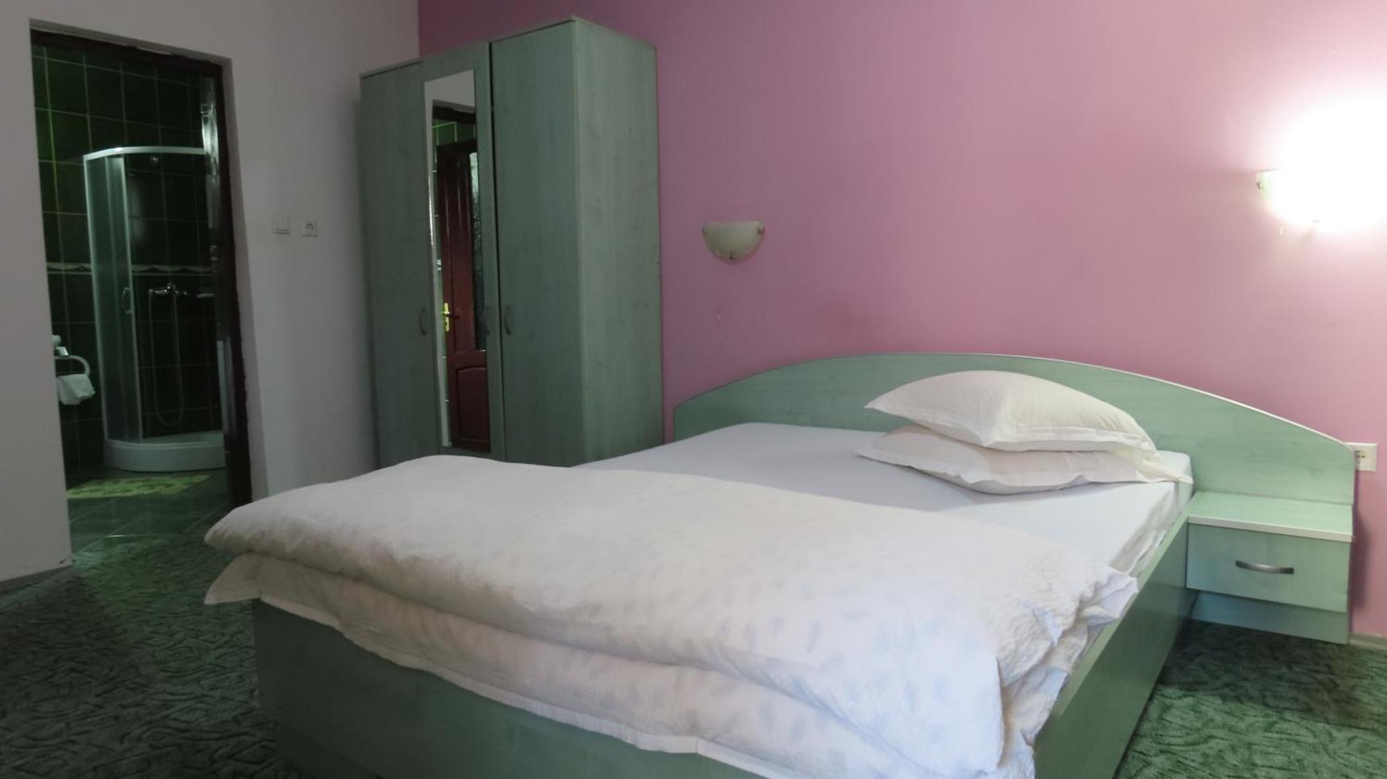 Vila Nik Busteni Buşteni Exterior foto