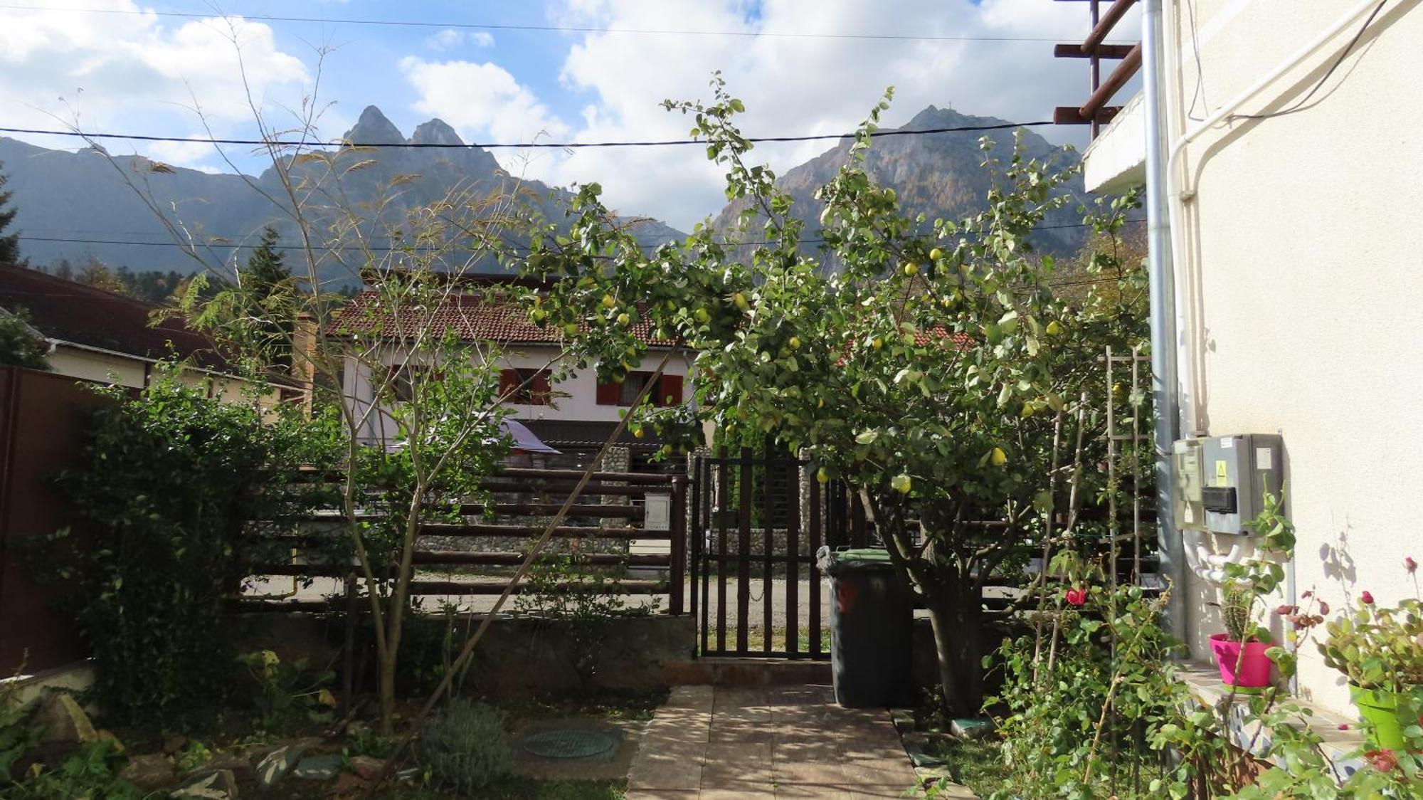 Vila Nik Busteni Buşteni Exterior foto