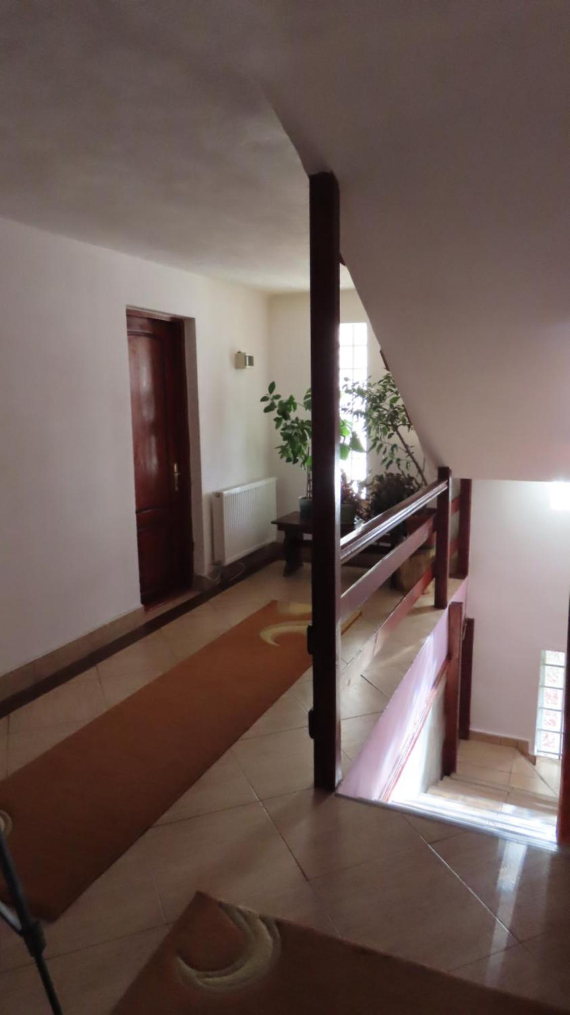 Vila Nik Busteni Buşteni Exterior foto
