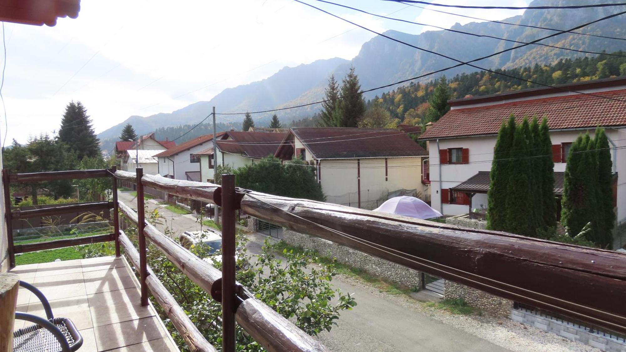 Vila Nik Busteni Buşteni Exterior foto